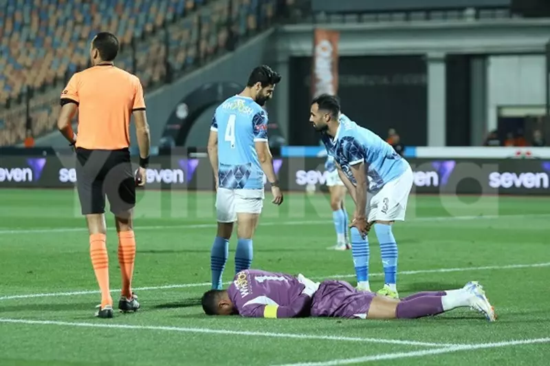 أحمد الشناوي